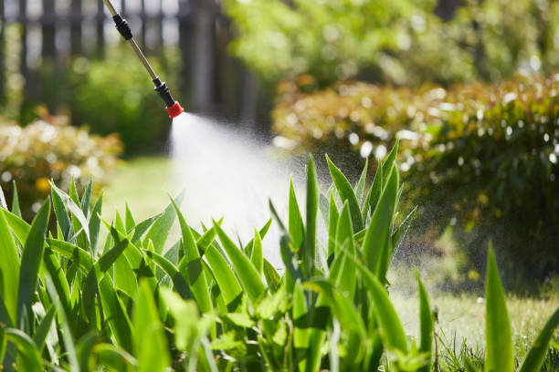 24/7 Emergency Emergency Pest Control experts in North Fond du Lac, WI
